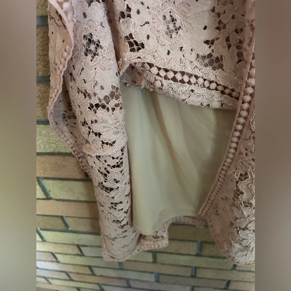 VERONICA BEARD Aura Asymmetrical Lace Mini Skirt Nude/Blush Pink Slip Size 6 - Picture 6 of 6